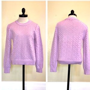 JCrew Point Sur Allover Pointelle Crewneck Sweater